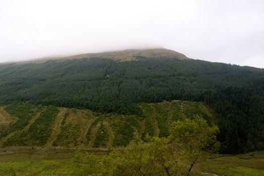 ./20100927-164045.jpg