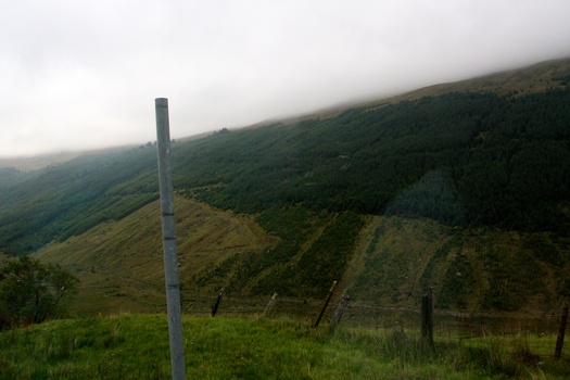 ./20100927-164105.jpg