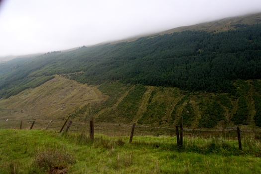 ./20100927-164113.jpg
