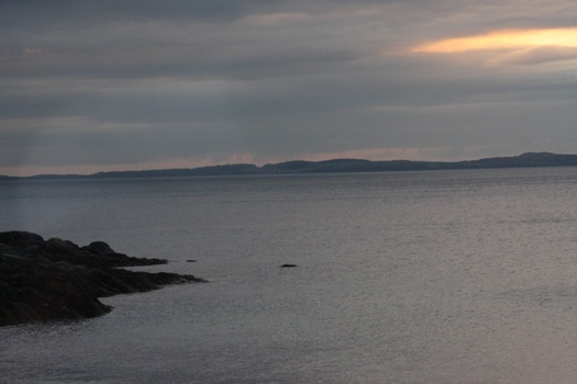 ./20100927-184831.jpg