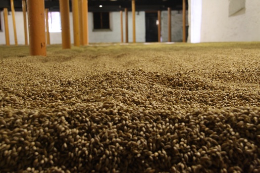 ./20100928-095512.jpg