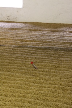 ./20100928-095631.jpg