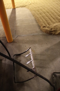 ./20100928-095823.jpg