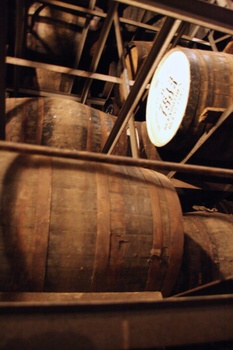 ./20100928-104232.jpg