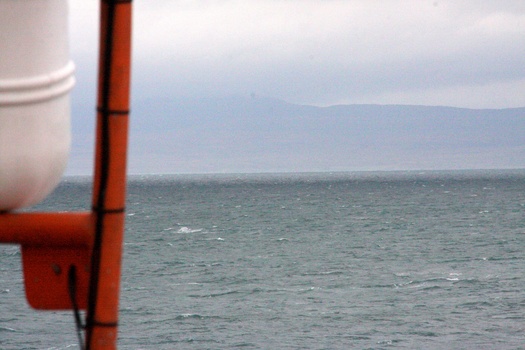 ./20100928-135052.jpg