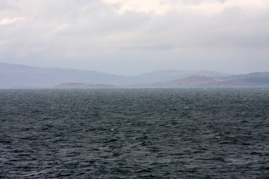 ./20100928-135344.jpg