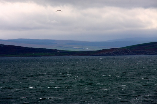./20100928-135537.jpg