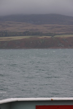 ./20100928-142845.jpg