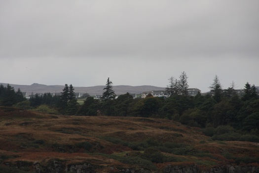 ./20100928-144615.jpg