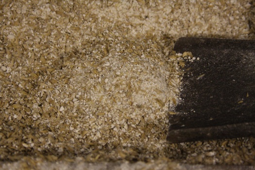 ./20100928-153445.jpg