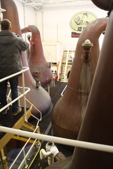 ./20100928-155127.jpg