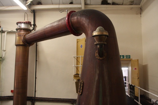 ./20100928-160149.jpg
