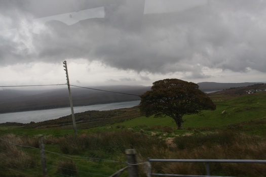 ./20100928-170045.jpg
