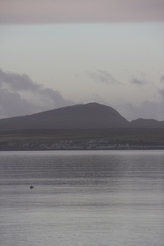 ./20100929-090642.jpg