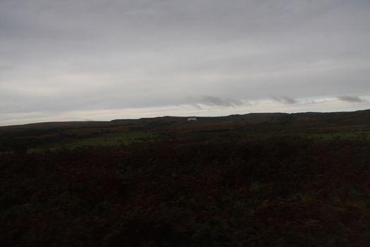 ./20100929-094102.jpg