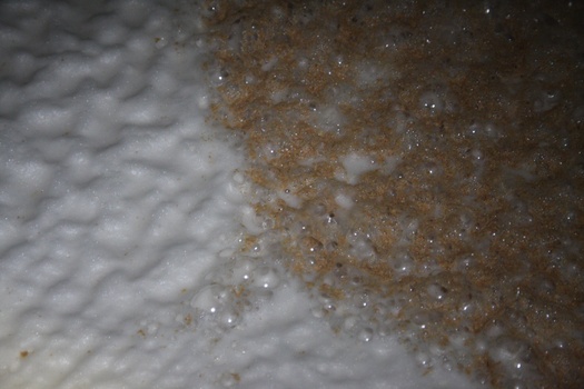 ./20100929-102545.jpg
