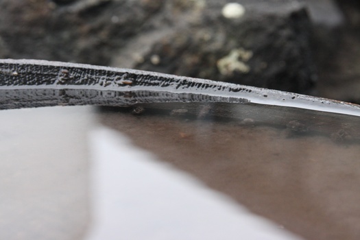./20100929-103323.jpg