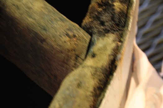 ./20100929-120143.jpg