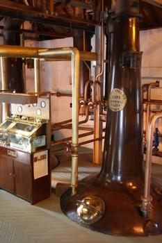 ./20100929-120230.jpg