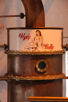 ./20100929-120359.jpg