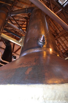 ./20100929-121047.jpg