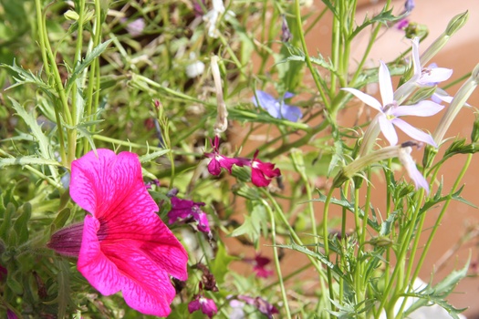 ./20100929-134306.jpg