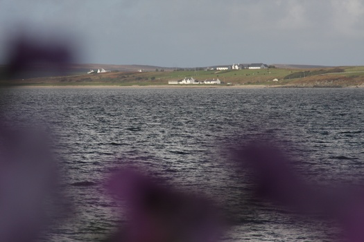 ./20100929-143005.jpg