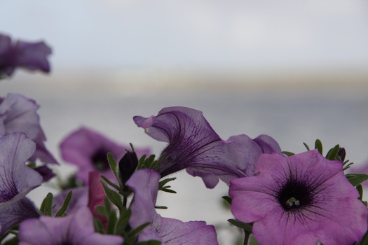 ./20100929-143013.jpg