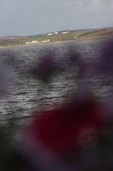 ./20100929-143046.jpg