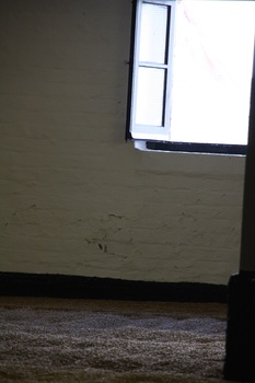 ./20100929-143915.jpg