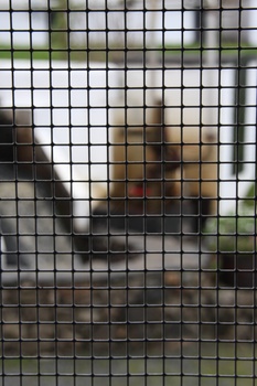 ./20100929-144952.jpg