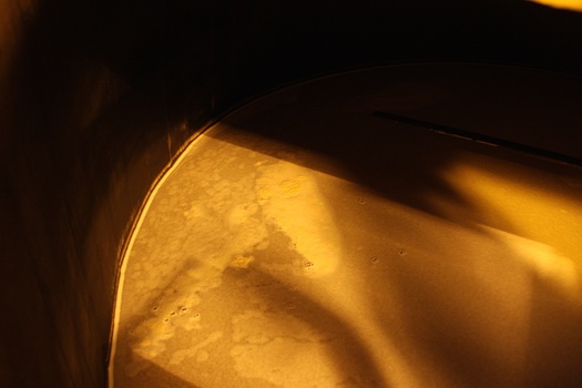 ./20100929-152334.jpg