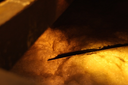 ./20100929-152511.jpg