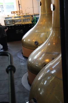./20100929-153624.jpg