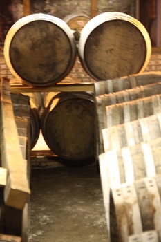 ./20100929-164218.jpg