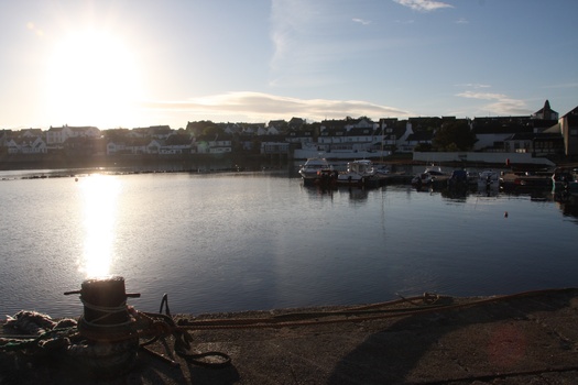 ./20100930-084601.jpg