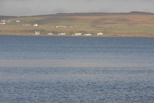 ./20100930-085335.jpg