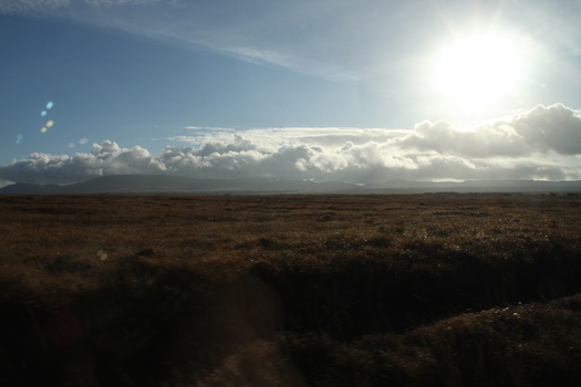 ./20100930-092057.jpg