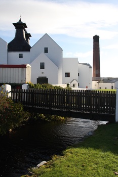 ./20100930-093923.jpg