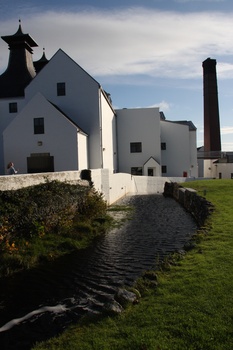 ./20100930-094008.jpg