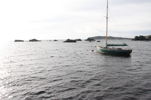 ./20100930-113312.jpg
