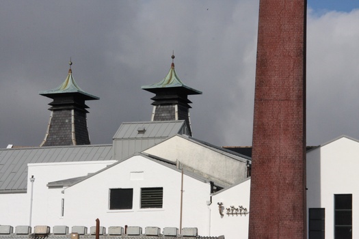 ./20100930-113613.jpg