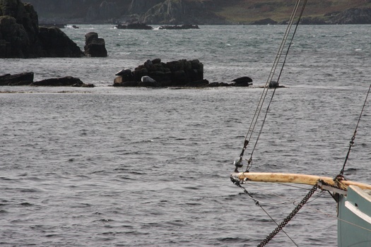 ./20100930-114325.jpg