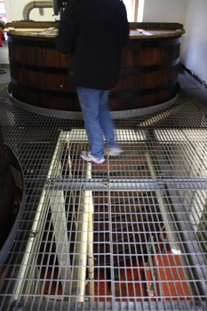 ./20101001-151027.jpg