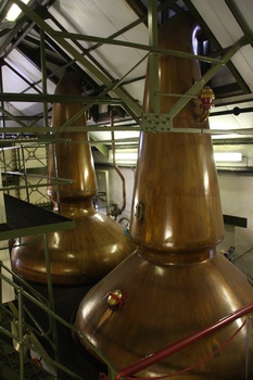 ./20101001-152456.jpg