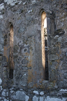 ./20101001-173333.jpg