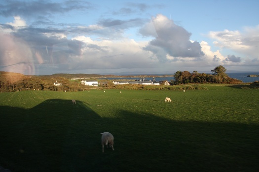 ./20101001-180731.jpg