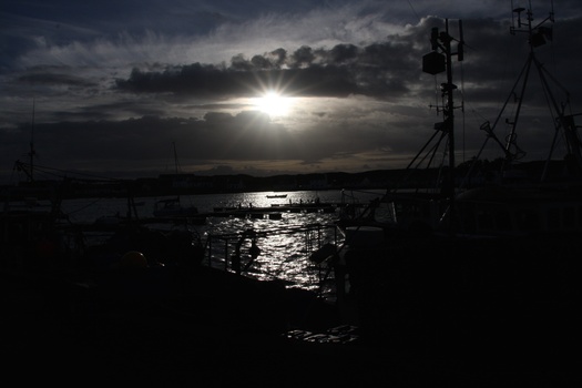 ./20101002-085327.jpg