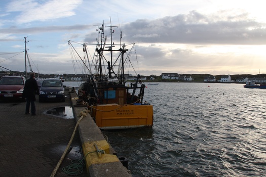 ./20101002-085930.jpg