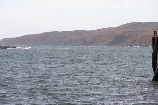 ./20101002-090004.jpg